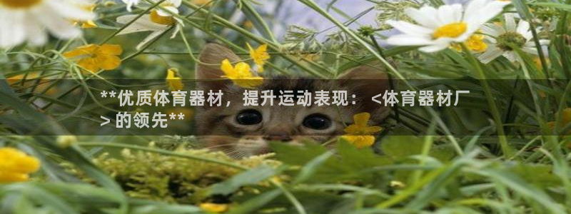 永韬星娱乐：**优质体育器材，提升运动表现： <体育