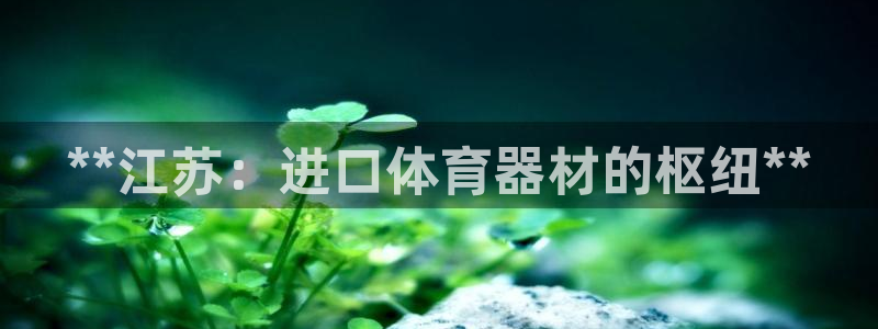 星欧娱乐扣款时间查询方法怎么查不了：**江苏：进口体