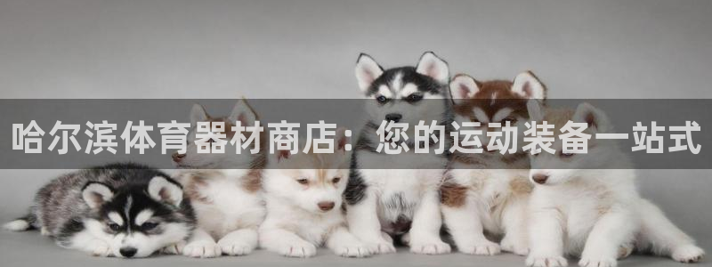星奥盛典娱乐会所：哈尔滨体育器材商店：您的运动装备一