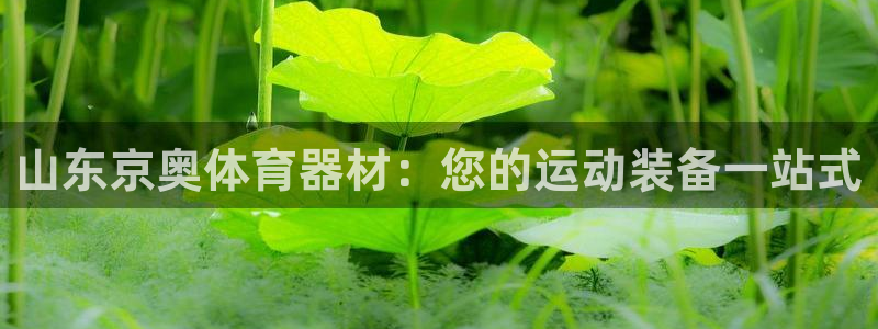 星奥娱乐微博：山东京奥体育器材：您的运动装备一站式