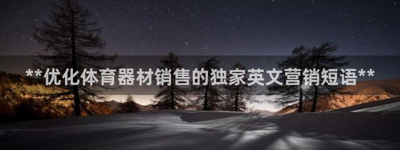 星欧娱乐属于什么档次的软件公司：**优化体育器材销售