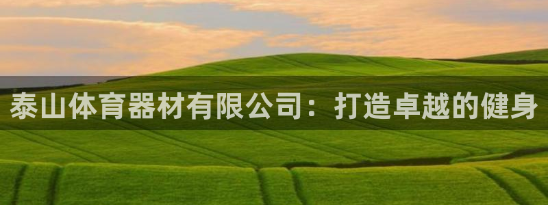 星欧娱乐官网首页：泰山体育器材有限公司：打造卓越的健