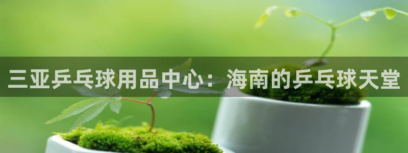 星欧娱乐彩票软件下载安装：三亚乒乓球用品中心：海南的