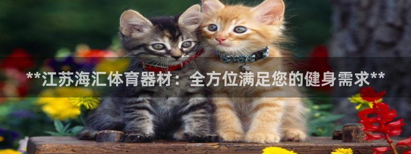 星欧娱乐伐官网注册：**江苏海汇体育器材：全方位满足