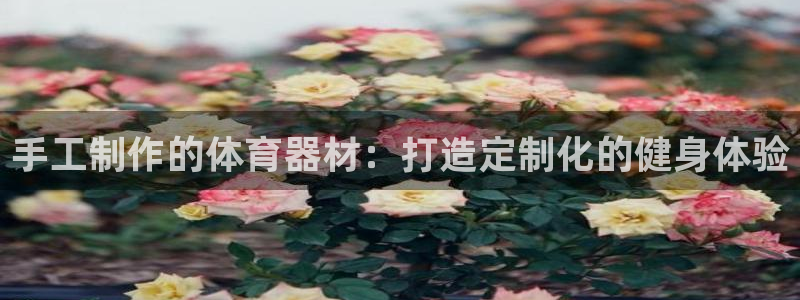 星奥盛典娱乐会所：手工制作的体育器材：打造定制化的健