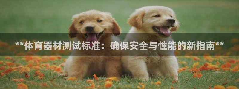 星奥娱乐待遇怎么样：**体育器材测试标准：确保安全与