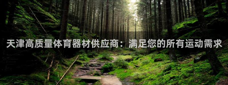 星欧娱乐挂机赚钱软件：天津高质量体育器材供应商：满足