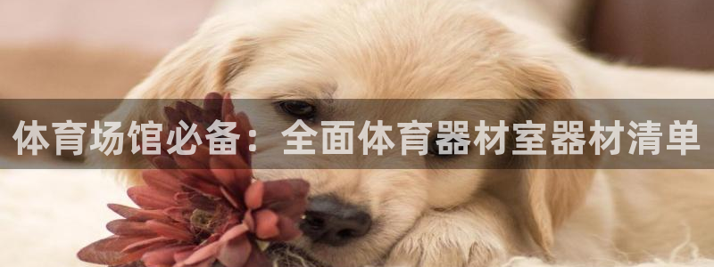 星欧娱乐属于什么档次的公司啊：体育场馆必备：全面体育
