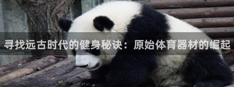 星欧娱乐公司地址：寻找远古时代的健身秘诀：原始体育器