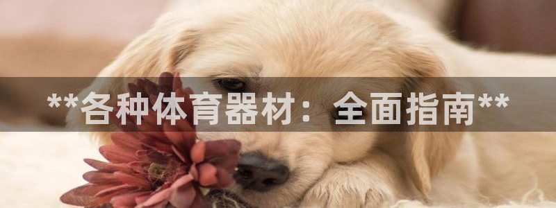 星奥娱乐微博：**各种体育器材：全面指南**