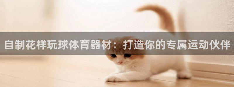 星娱乐文化传媒：自制花样玩球体育器材：打造你的专属运