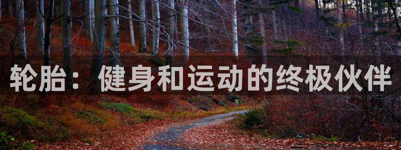 星欧娱乐扣款时间查询方法是什么意思：轮胎：健身和运动