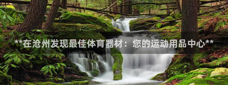 星欧娱乐挂机：**在沧州发现最佳体育器材：您的运动用