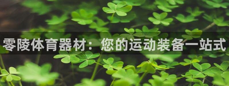 星欧娱乐扣款流程详解：零陵体育器材：您的运动装备一站