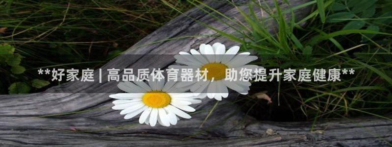 星娱乐online张译：**好家庭 | 高品质体育器
