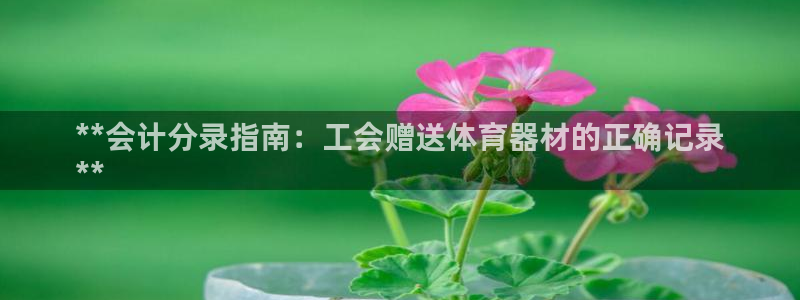 星奥娱乐旗下艺人：**会计分录指南：工会赠送体育器材