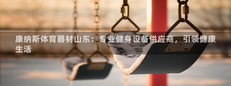 星欧娱乐官方客服联系方式是什么：康纳斯体育器材山东：