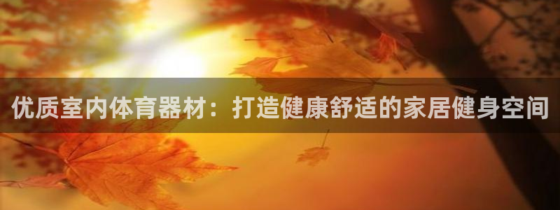 星奥娱乐集团股份有限公司官网：优质室内体育器材：打造