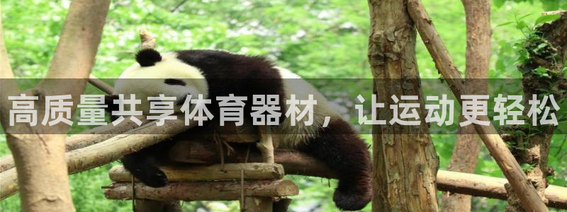 星欧娱乐和嫲薇他的区别是什么：高质量共享体育器材，让