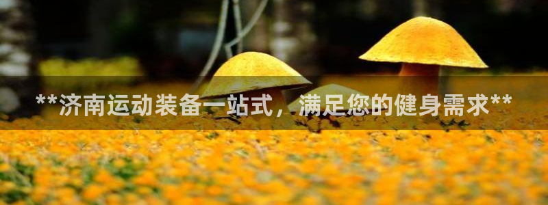 星欧娱乐总代.直开.中国：**济南运动装备一站式，满