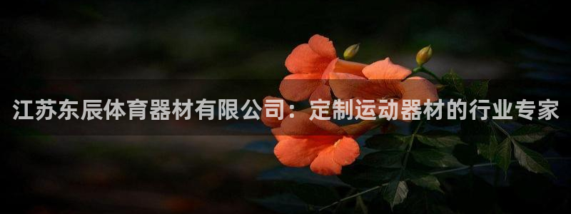 星欧娱乐的官方版本更新内容有哪些：江苏东辰体育器材有