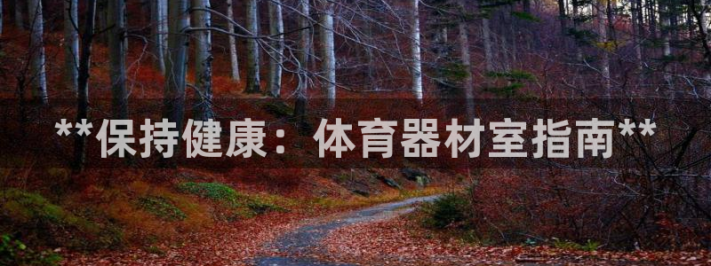星欧娱乐最建议买的三个产品：**保持健康：体育器材室