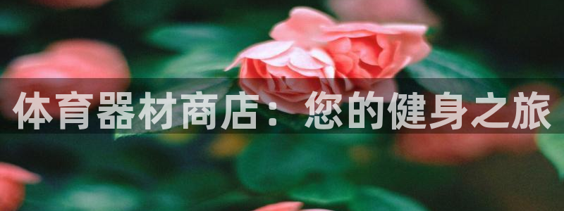 星欧娱乐扣款时间查询方法怎么查的：体育器材商店：您的