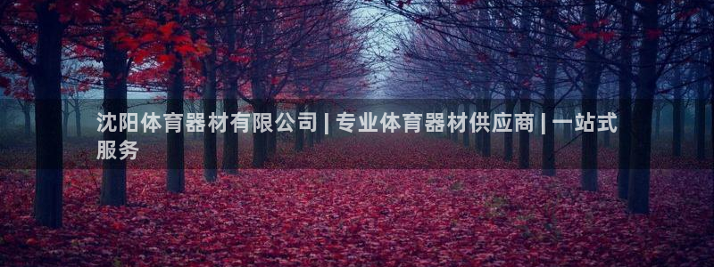 星欧娱乐属于什么档次的公司啊：沈阳体育器材有限公司 