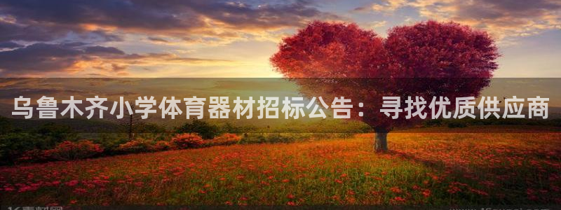 星欧娱乐最建议买的三个产品是什么呢：乌鲁木齐小学体育