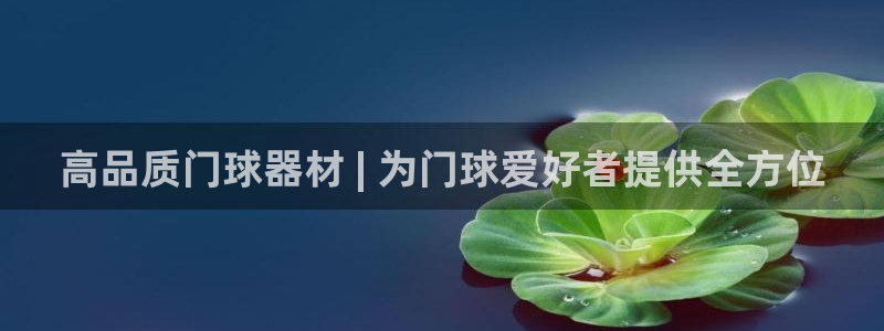 星欧娱乐公司创始人背景故事