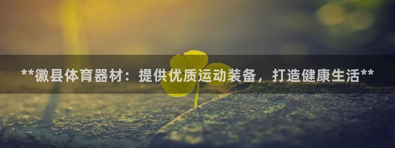星欧娱乐扣款流程详解图高清
