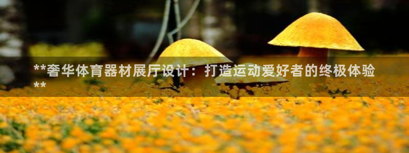 星欧娱乐挂机教程下载：**奢华体育器材展厅设计：打造