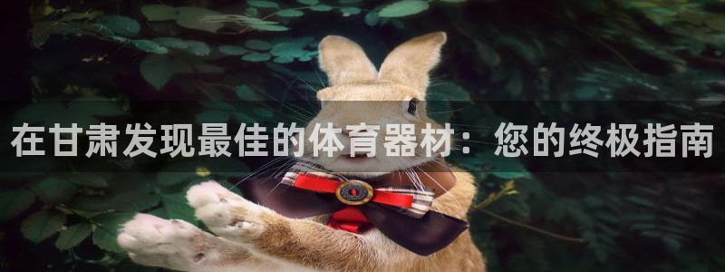 星奥娱乐怎么样知乎：在甘肃发现最佳的体育器材：您的终