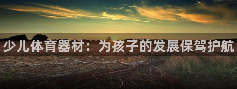 星澳娱乐公司：少儿体育器材：为孩子的发展保驾护航