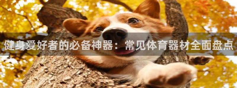 星欧娱乐属于什么档次的软件啊：健身爱好者的必备神器：