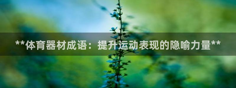 星欧娱乐热最建议去的三个地方：**体育器材成语：提升
