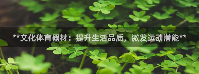星欧娱乐平台：**文化体育器材：提升生活品质，激发运