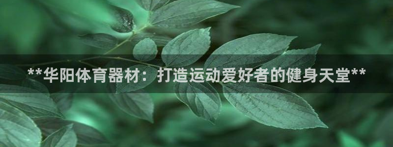 星欧娱乐扣款流程详解图高清：**华阳体育器材：打造运