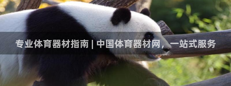 星乐娱乐官网：专业体育器材指南 | 中国体育器材网，