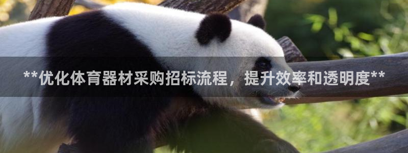星欧娱乐最建议买的三个产品有哪些内容：**优化体育器