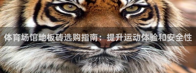 星欧娱乐是正规平台吗安全吗：体育场馆地板砖选购指南：