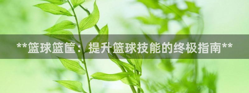 星欧娱乐伐官网注册：**篮球篮筐：提升篮球技能的终极