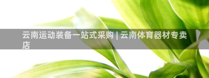 星欧娱乐官方客服联系方式：云南运动装备一站式采购 |