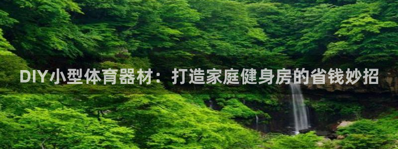 星欧娱乐官方客服联系方式是什么：DIY小型体育器材：