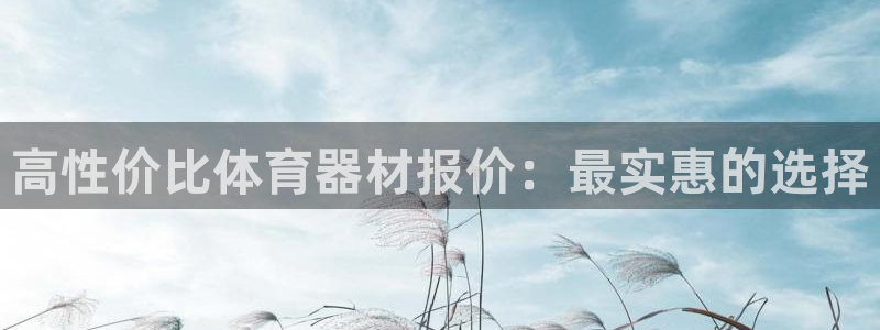 星欧娱乐公司创始人背景故事：高性价比体育器材报价：最