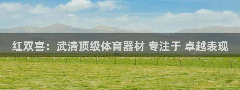 星欧娱乐法最新进展：红双喜：武清顶级体育器材 专注于