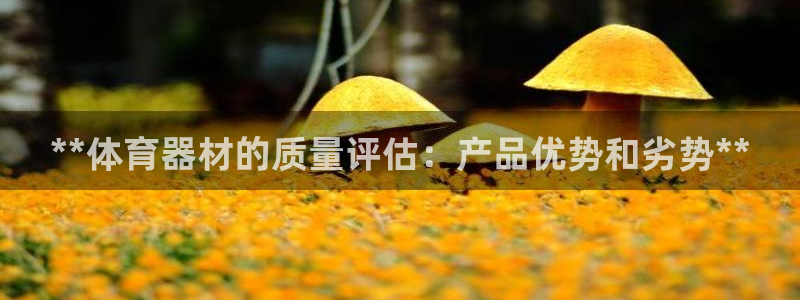 江苏星奥娱乐：**体育器材的质量评估：产品优势和劣势