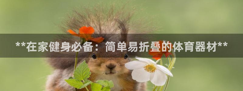 星欧娱乐官方客服联系方式