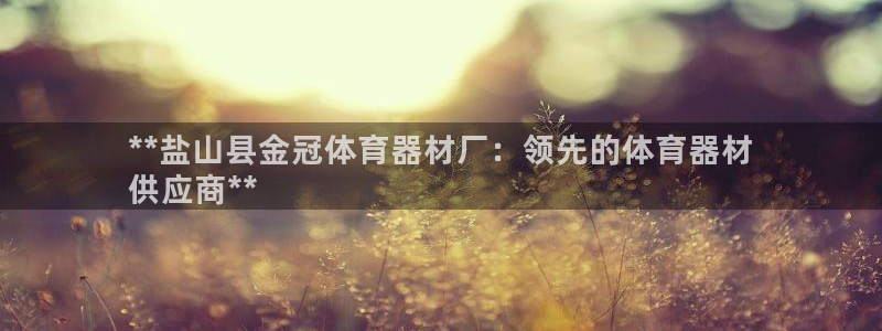 永韬星娱乐：**盐山县金冠体育器材厂：领先的体育器材