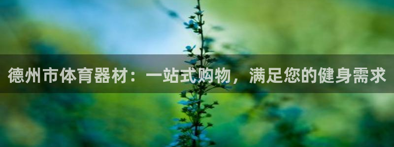 星欧娱乐扣钱步骤详解：德州市体育器材：一站式购物，满